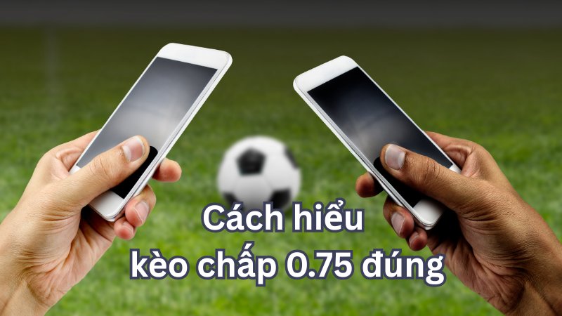 Cách hiểu kèo chấp 0.75 đúng & mẹo chơi dễ trúng tại BK8