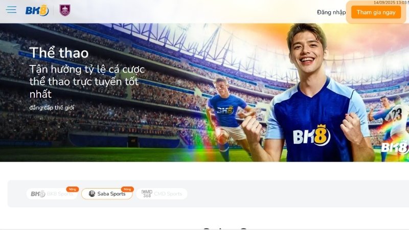 Tại sao nên chơi các loại kèo châu Á tại BK8?